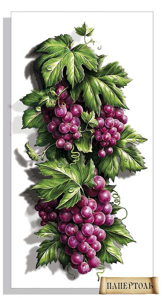 Набір для створення картини в техніці Папертоль РТ150263 Соковитий виноград