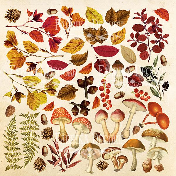 Лист с картинками для вырезания ''Botany autumn''
