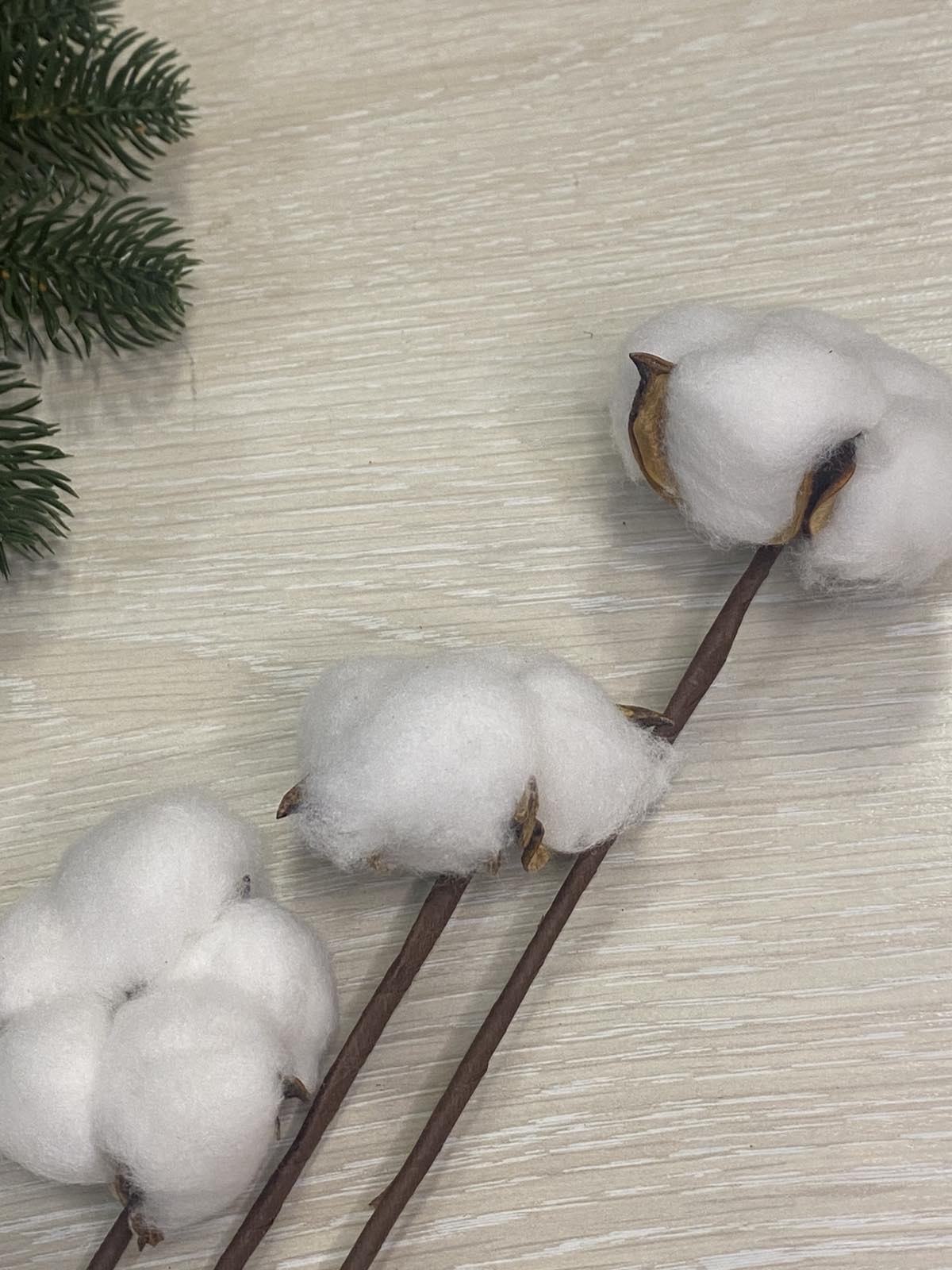 Бавовна стабілізована, 38 см, білий