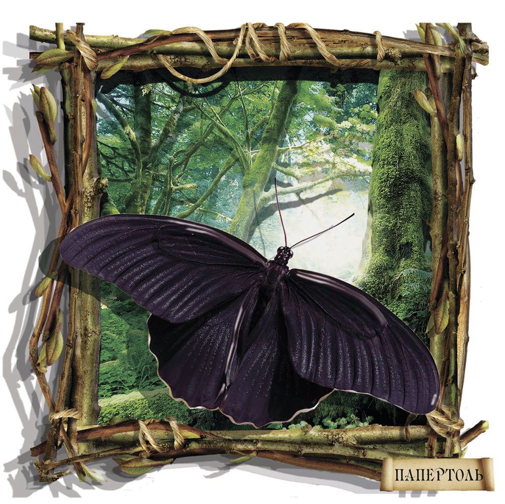 Набір для створення картини в техніці Папертоль РТ150235 Метелик (чорний)