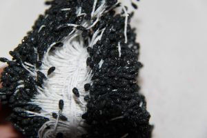 Квіткова тичинка з блискітками 0,3 см чорного кольору