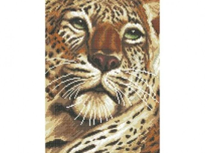 Схема для вишивки бісером ''Взгляд тигра''