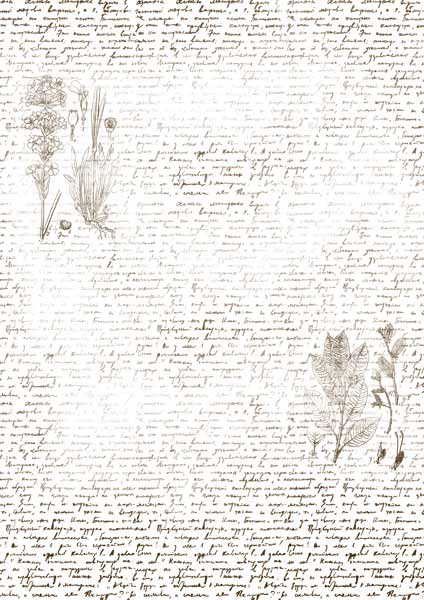 Оверлей Текст з гербарієм 21х29,7 см